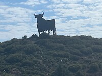 El torro
