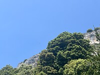 Gieren