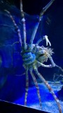 Underwaterworld