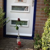 Lieve Quinta rust zacht