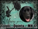 Quinta
