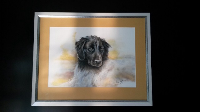 Portret Quinta