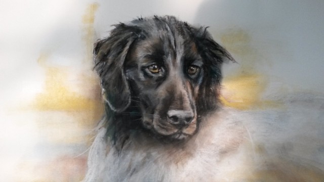 Portret Quinta