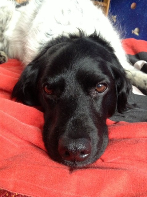 Bij Hugo op bed