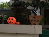 Halloween is in aantocht