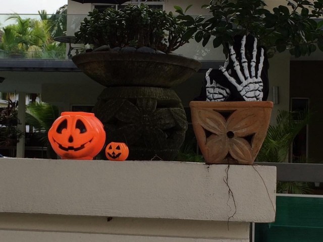 Halloween is in aantocht