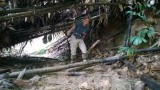 Laaghangend groen