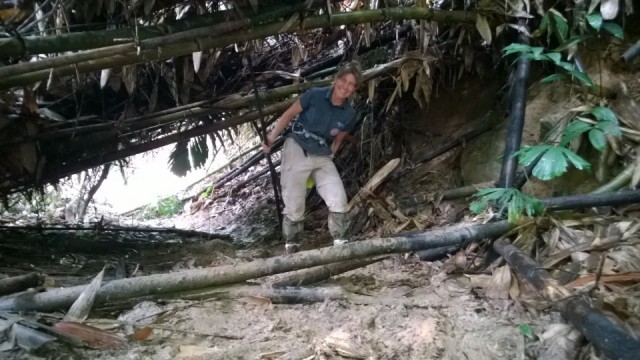 Laaghangend groen