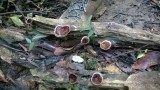 De herfst is eindelijk begonnen