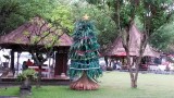 Zoek de kerstboom