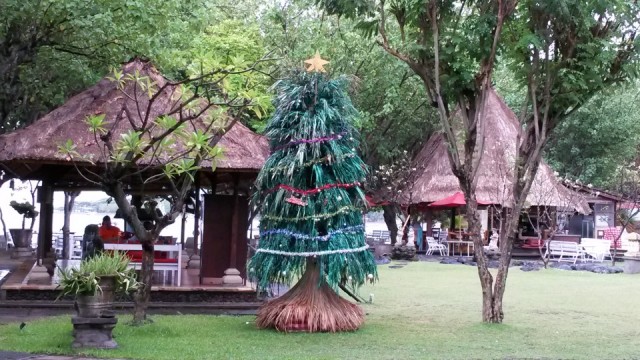 Zoek de kerstboom