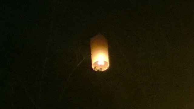 Wensballon in de boom