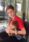Hugo met Nix