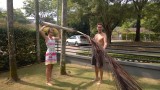 Schade valt bij ons mee: 1 blaadje uit de boom gewaaid