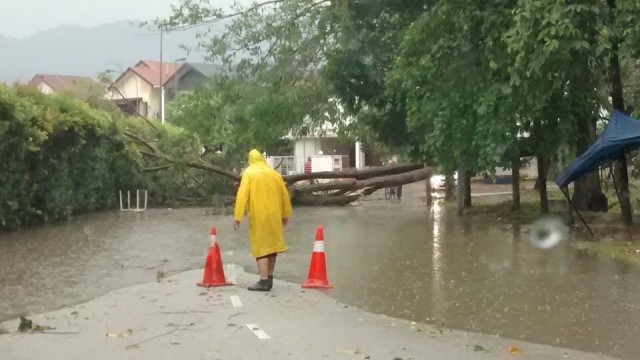 De weg maar even afzetten hier