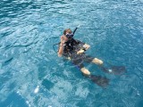Het water in