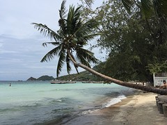 Strand van Koh Tao
