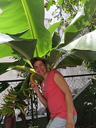 Mijn bananenboom