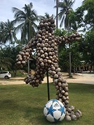 Coconaldo