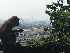 Uitzicht op Kuala Lumpur