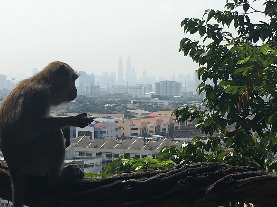Uitzicht op Kuala Lumpur
