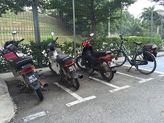 Ruime fietsenstalling