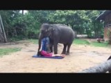 Massage door een olifant