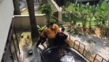 Verhuizen van de trampoline