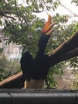 Bird park