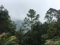 Kledang Hill