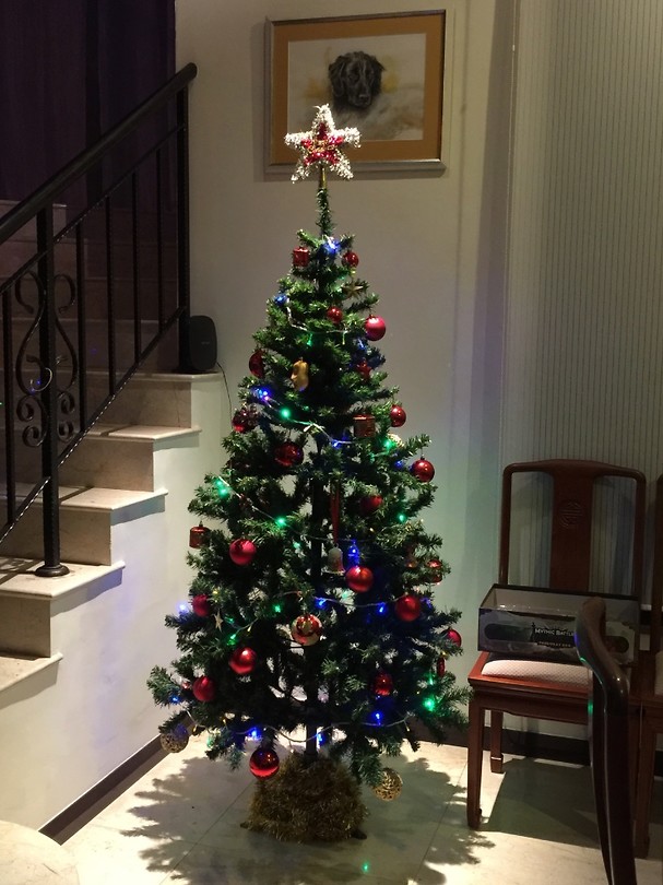 Kerstboom