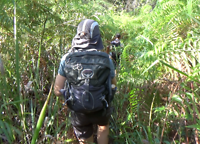 Jungle Trek