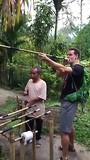 Pijltjes schieten