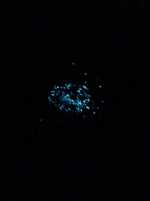 Blue Tears