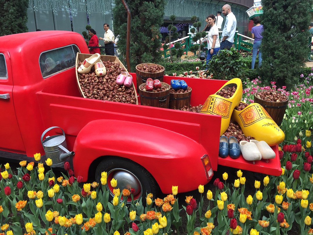 Hollandse tractor?