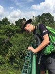 Tree top walk