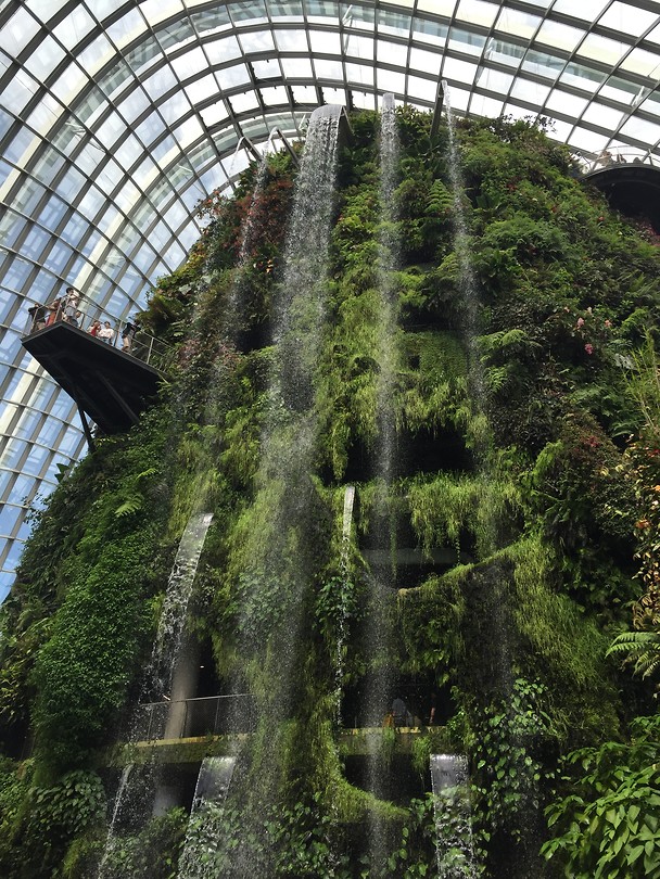Botanische tuin