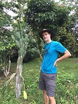 Cactusveldje