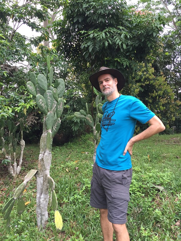 Cactusveldje