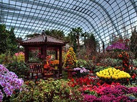 Botanische tuin