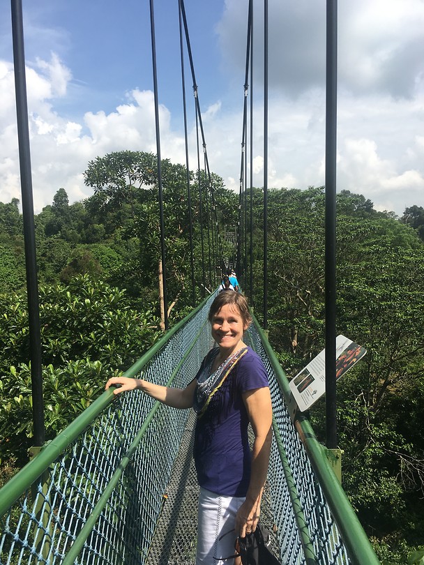 Tree top walk