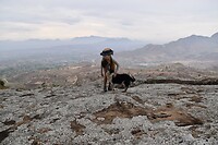 7. Samen met hond Sproet halverwege Nkhoma mountain, toen de wolken de top lieten verdwijnen