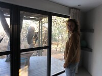 4. Goedemorgen meneer olifant!