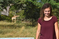 2. Giraffen op bezoek bij ons huis!