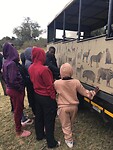 3. Leren over alle dieren