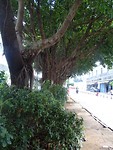 Xiamen