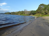Lake Ainsworth