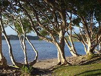 Lake Ainsworth