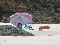 Whites  Beach