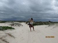 Hawksnest